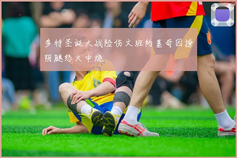 多特圣诞大战险伤文班约基奇因撩阴腿怒火中烧