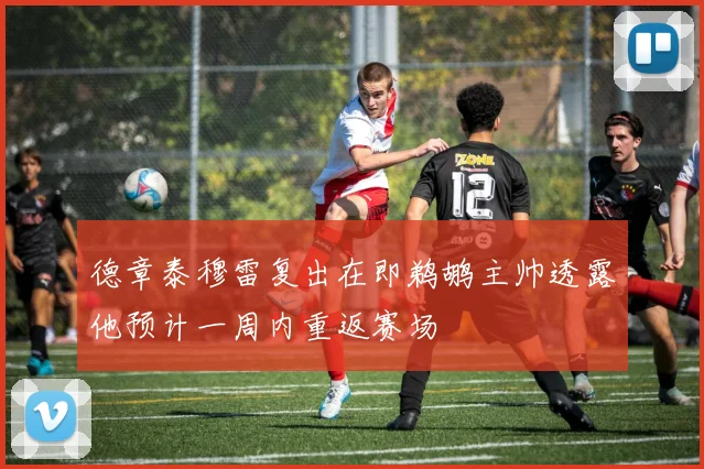 德章泰穆雷复出在即鹈鹕主帅透露他预计一周内重返赛场